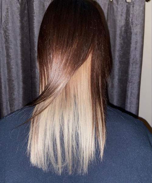 Two Tone Brown Hair with Blonde Underneath