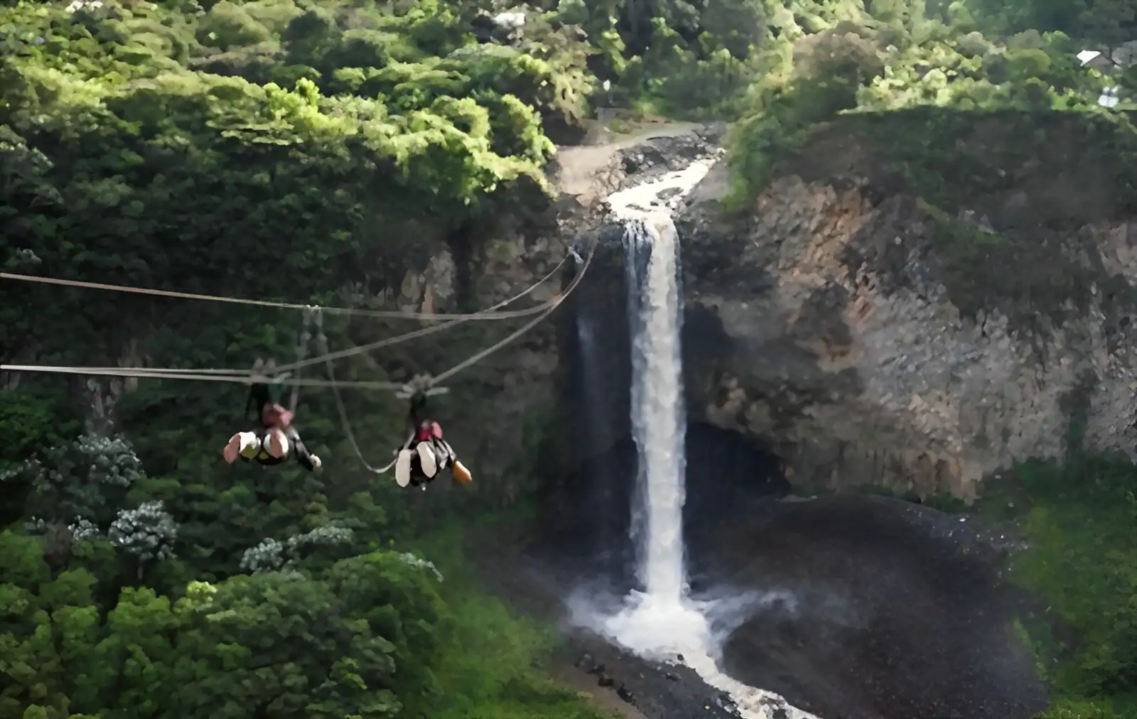 Zip-lining and Canopy Tours