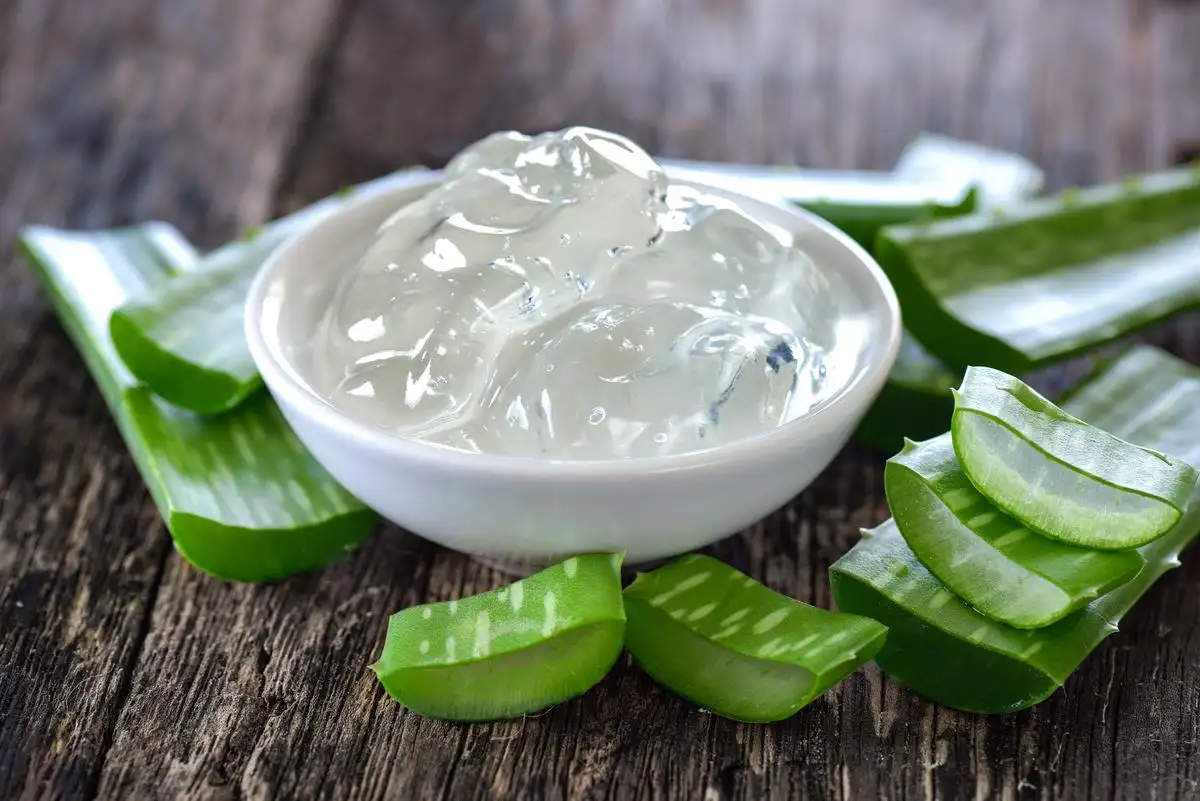 Aloe Vera Gel DIY Remedies for Oily Skin