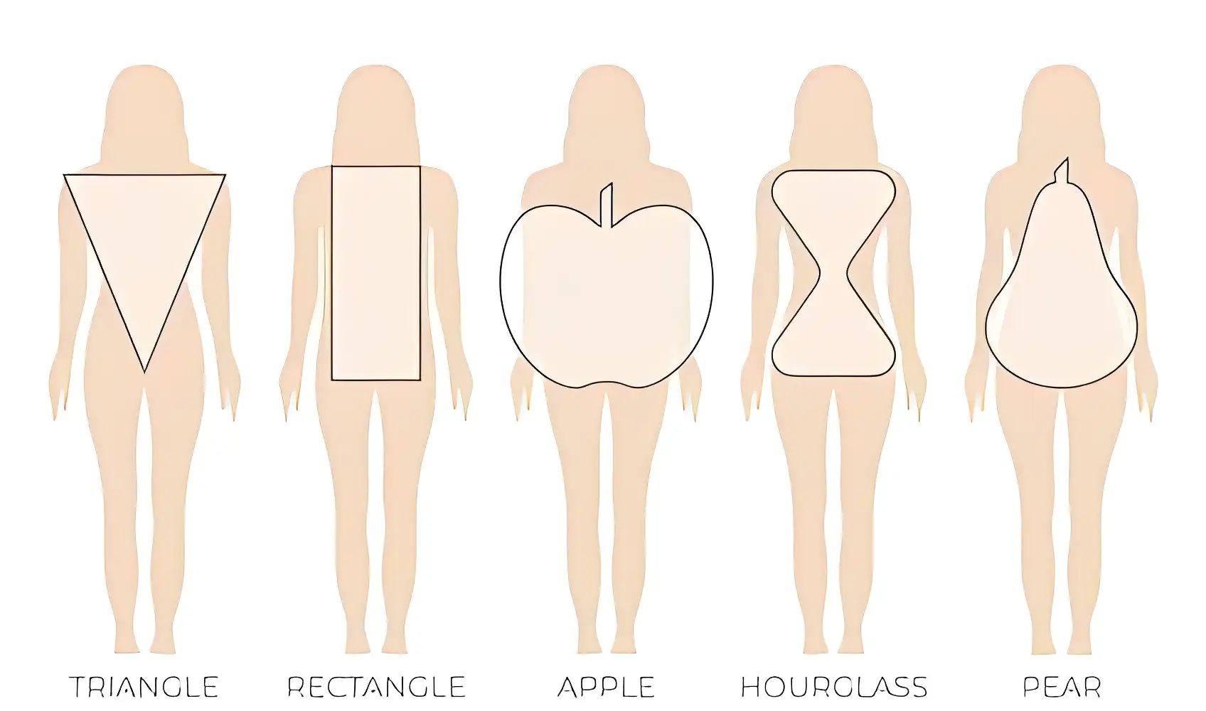Different Types Of Body Shapes