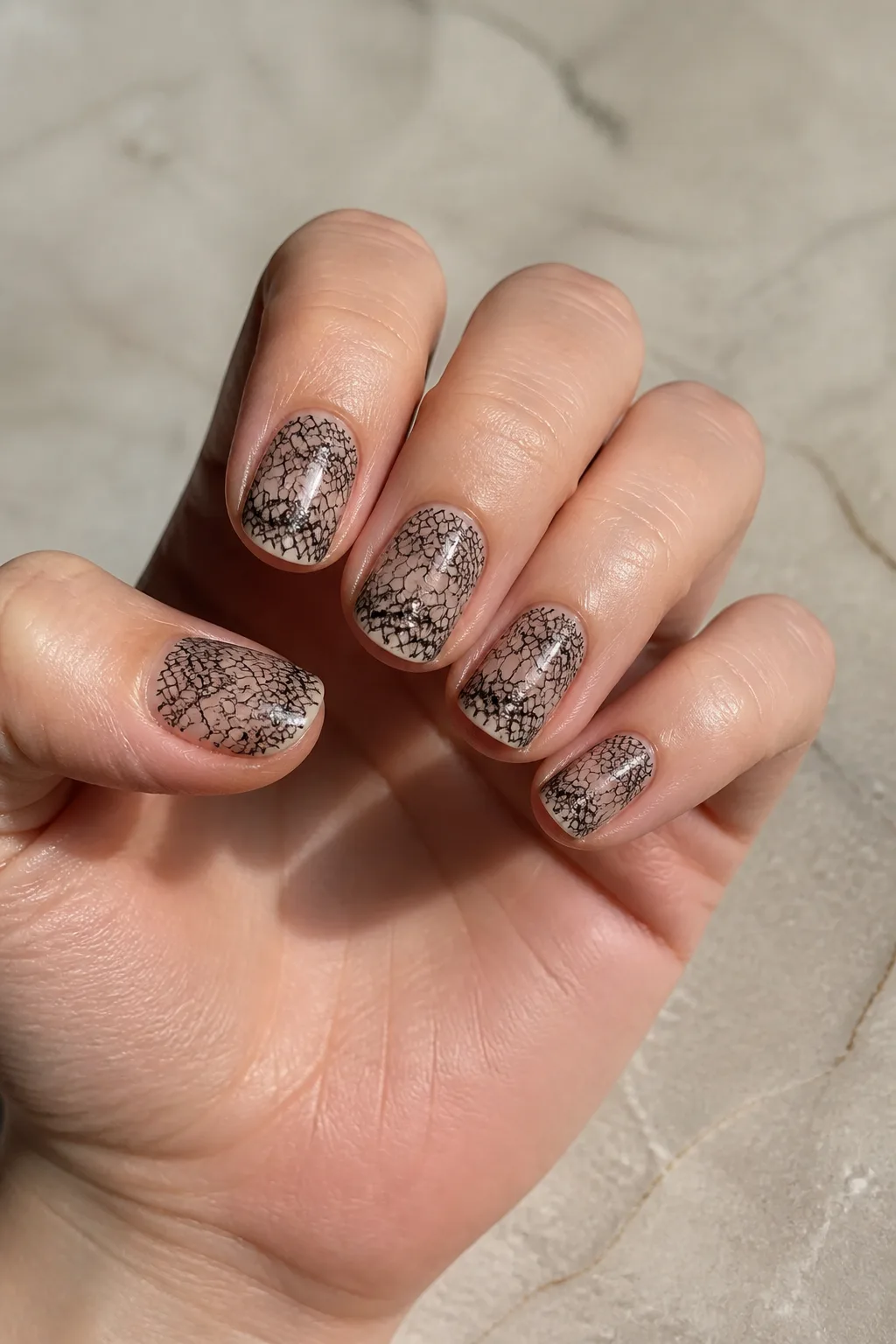 Black Lace Overlay