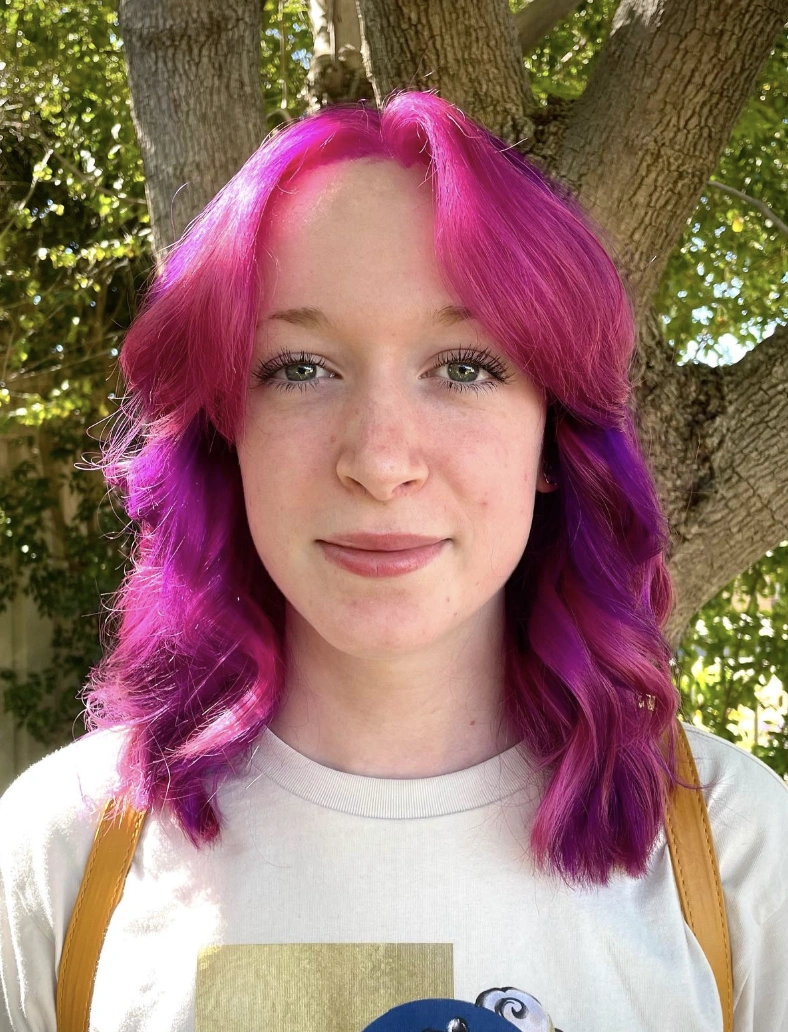 Raspberry Sorbet Meets Deep Plum: A Hair Color Dream