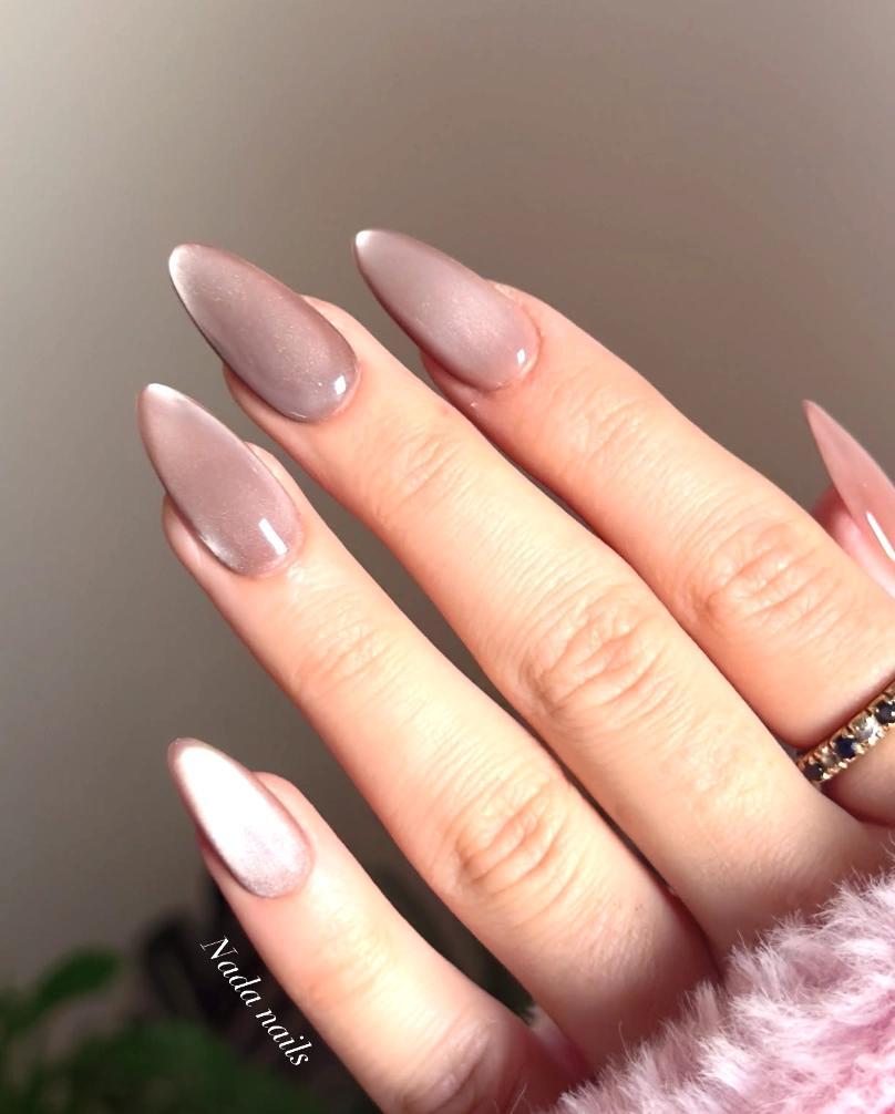 Taupe Stiletto Nails with Cat Eye Effect